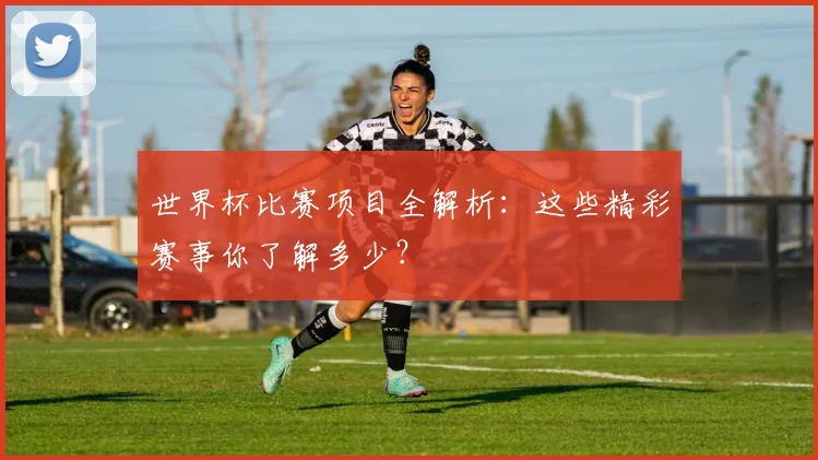 世界杯比赛项目全解析:这些精彩赛事你了解多少?