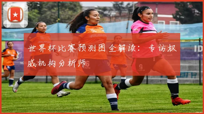 世界杯比赛预测图全解读:专访权威机构分析师