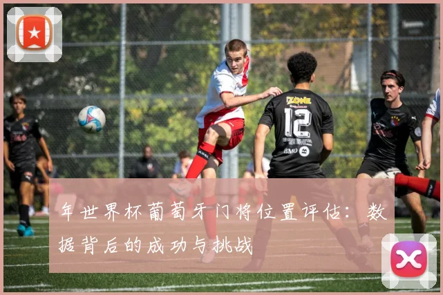 年世界杯葡萄牙门将位置评估：数据背后的成功与挑战