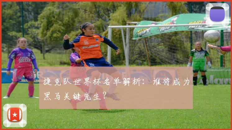 捷克队世界杯名单解析：谁将成为黑马关键先生？