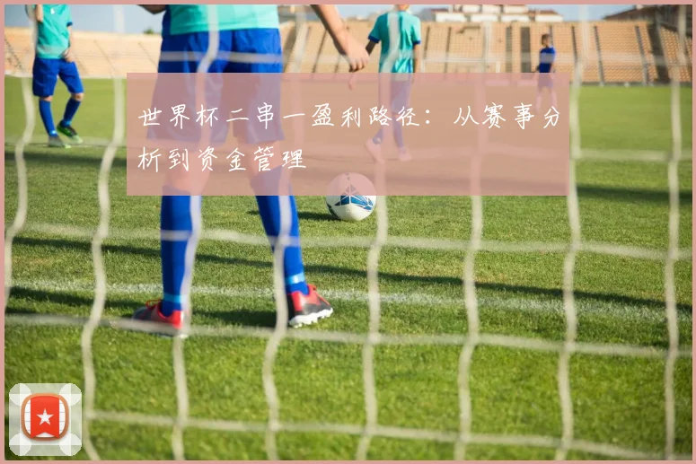 世界杯二串一盈利路径：从赛事分析到资金管理