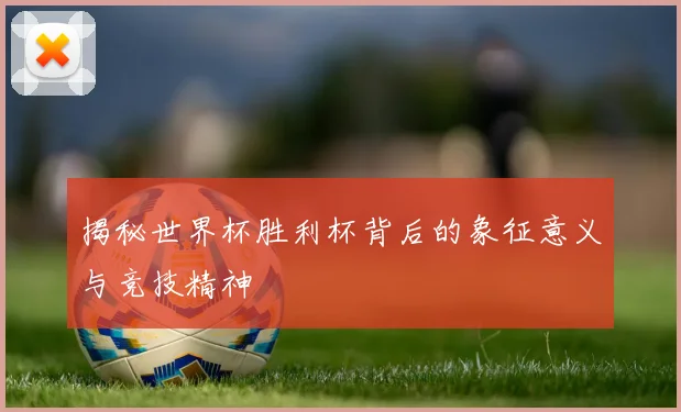 揭秘世界杯胜利杯背后的象征意义与竞技精神