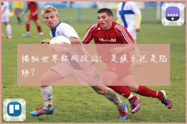 揭秘世界杯网投站：是娱乐还是陷阱？