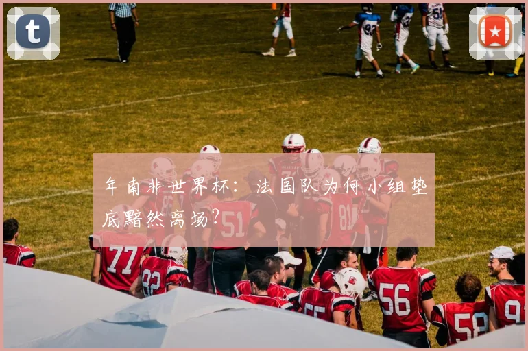 年南非世界杯：法国队为何小组垫底黯然离场？