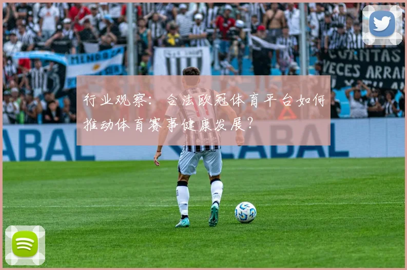 行业观察：合法欧冠体育平台如何推动体育赛事健康发展？