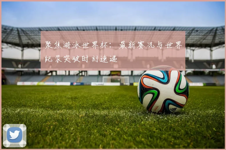 聚焦游泳世界杯：最新赛况与世界纪录突破时刻速递