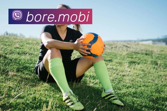 开云手机入口官方网站平台生态图