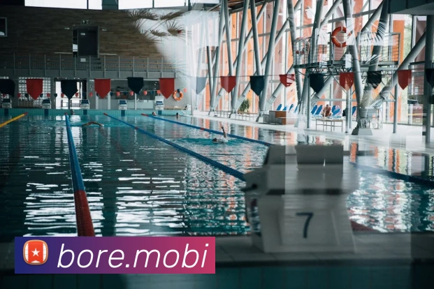 开云手机入口官方网站APP 封面图